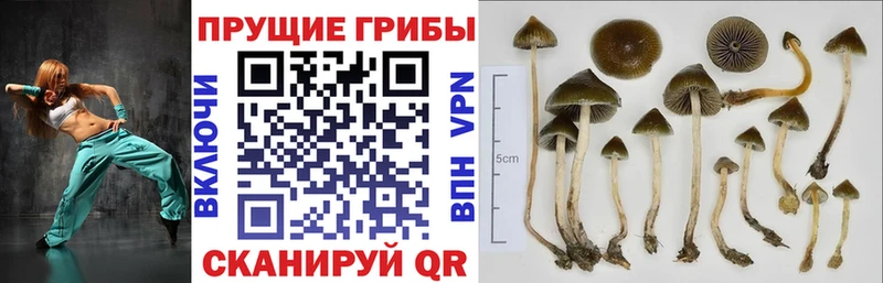 сколько стоит Тарко-Сале ОМГ ОМГ маркетплейс Галлюциногенные грибы MAGIC MUSHROOMS